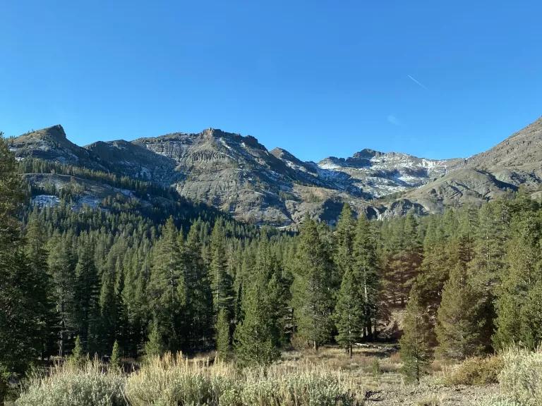 Tall mountains with pine trees in the foreground