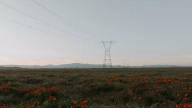 Power lines in California