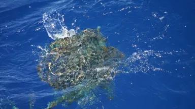 A tangled mass of discarded 'ghost' fishing nets completely encloses a swimming sea turtle.