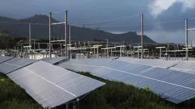Solar panels and power lines in Kauai, Hawai'i