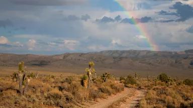 A rainbow arching above Pine Nut Road in Desert National Wildlife Refuge, Nevada.