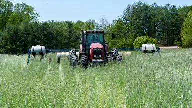 Farmer Steve Worland planting field corn into a stand of cover crops on his farm in Freedom, Indiana, on May 12, 2022. 

Worland no-till farms 700 acres and plants a diverse cover crop mix that includes radish, crimson clover, turnips and cereal rye.