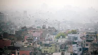 An aerial view of a flock of birds flying above apartment buildings on a smoggy day in Delhi, India