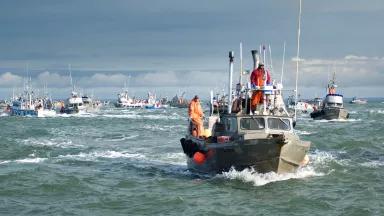 A group of fishing boats on the water