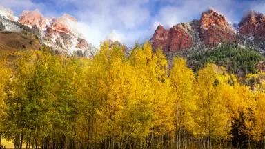 Fall foliage on trees below the Maroon Bells in the Elk Mountains, Colorado.