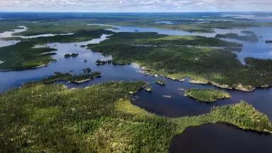 An aerial view of forest and waterways in Wabakimi Provincial Park