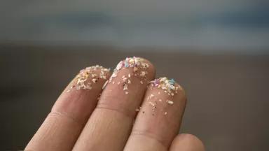 Microplastics collected from a beach cling to a person's fingers.
