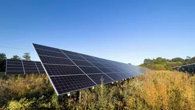 Solar panel arrays surrounded by wildflowers in an Ohio field.