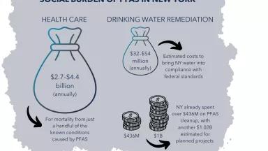 A graphic titled "Social Burden of PFAS in New York"