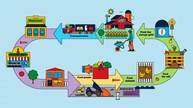 An illustration that shows the cycle of food waste diversion