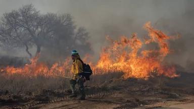 Firefighters battle parts of the reignited Smokehouse Creek Fire outside of Miami, Texas, on March 2, 2024.

The fire burned approximately 1,058,482 acres before it was successfully contained, making it the largest wildfire on record in Texas's history (going back to 1988) as well as the largest wildfire in the United States during 2024.