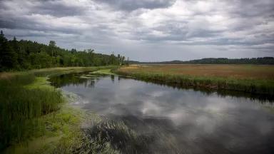The upper Mississippi River flowing from its headwaters in northern Minnesota.