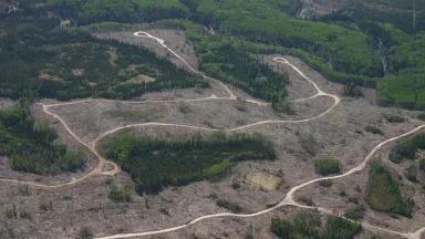 Tar Sands Drilling or In Situ Operation