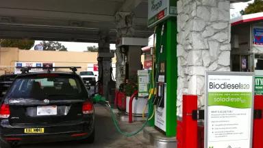 Algae-based biodiesel.jpg