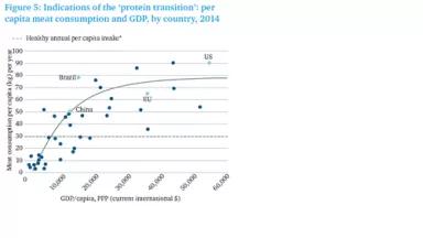 Chatham House meat consumption graph.png