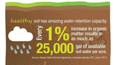 Infographic highlighting the significant water-retention capacity of healthy soil.