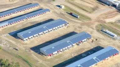 Donalsonville Pnut Farm Suniva Hannah Solar.jpg