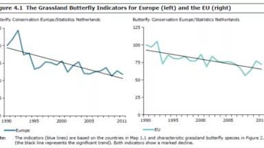 EEA butterly survey trend graph
