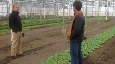 FF CR Greenhouse.jpg
