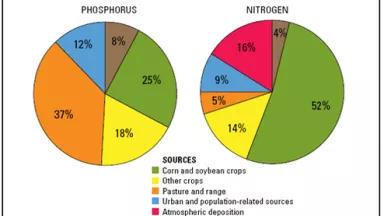 Nutrient flows to Gulf