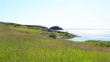 Ft. Chipewyan Shore 7-09 credit J Henry Fair.jpg