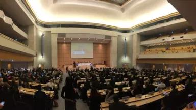 Geneva Plenary.JPG