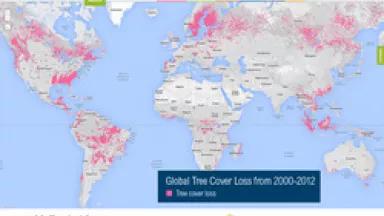Global Tree Cover Loss~WRI.jpg