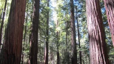 IMG_3609.JPG