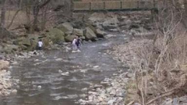 Kids in 4mi Run.jpg