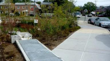 Green Street at Nashville Blvd. & 116th St., Queens, NY (Photo: NYC Parks)