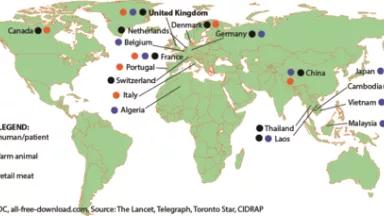 Map of mcr-1 (gene for colistin resistance) detected as of January 15th, 2016.png