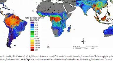 New map from NASA that shows how much carbon is stored in the world's forests and how much carbon is at risk of deforestation