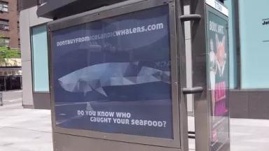 NYDontbuylargead1.jpg