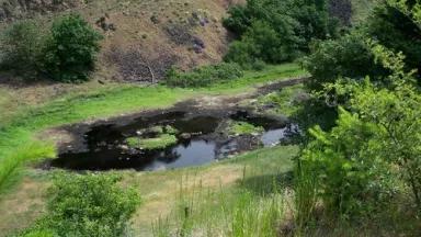 OR -- bottom of canyon.jpg