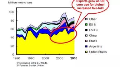 ORNL report corn exports_Page_15.jpg