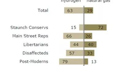 Pew Survey - energy response.jpg