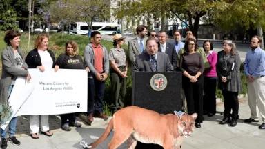 Press conference biodiversity.jpg
