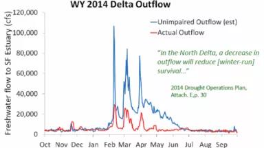 TBI 2014 outflow graph.png