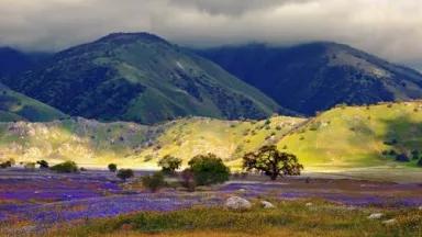 Tejon Old Headquarters.jpg