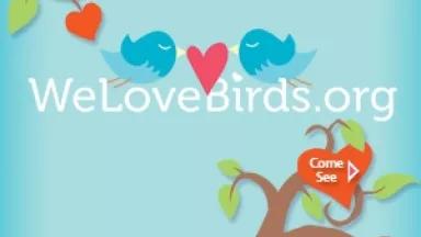 WeLoveBirds.org