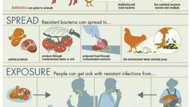 ar-infographic-950px.jpg