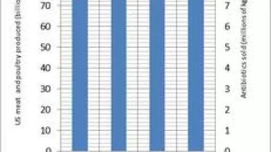 bar graph.jpg