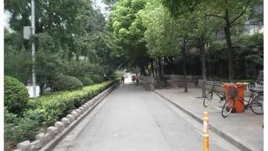 bike.lane.treed.1.jpg