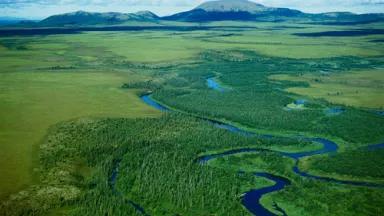 bristolbay.jpg