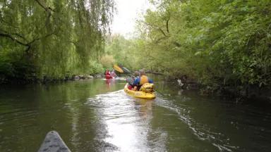 bronxriver.jpg