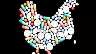 chicken made of drugs.jpg
