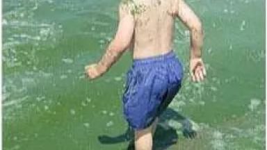 child in algae.jpg