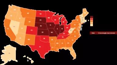 crop insurance claims.png