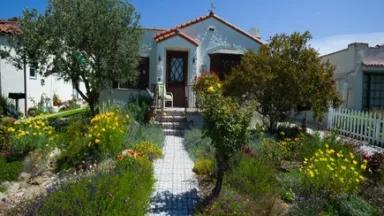 Thumbnail image for drought tolerant.jpg