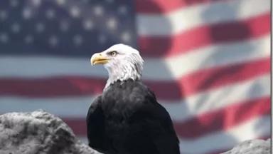 eagle with american flag by stephen moore
